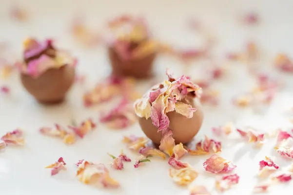 Bet24star Kasino Apl Android/iOS